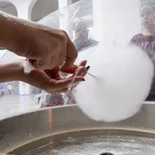 IV Piknik osób z niepełnosprawnościami, 14.09.2024 r.