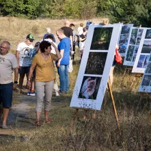 Babie Lato na Wrzosowisku