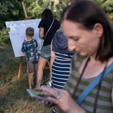Babie Lato na Wrzosowisku
