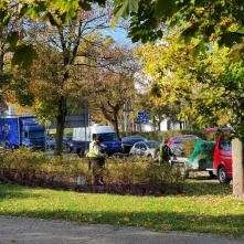 Nasadzenia krzewów tawuły przy Czerwonej Drodze