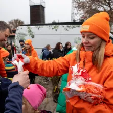 Sadzenie mikrolasu metodą Miyawaki