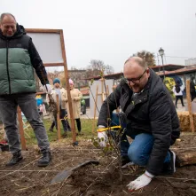 Sadzenie mikrolasu metodą Miyawaki