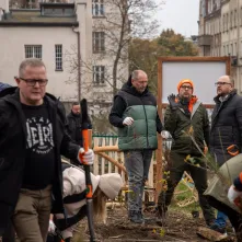 Sadzenie mikrolasu metodą Miyawaki