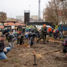 Sadzenie mikrolasu metodą Miyawaki