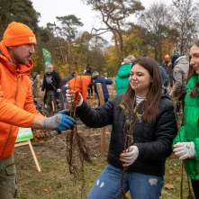 Sadzenie mikrolasu metodą Miyawaki