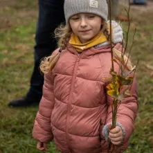 Sadzenie mikrolasu metodą Miyawaki