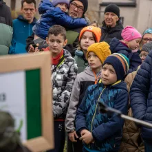 Sadzenie mikrolasu metodą Miyawaki