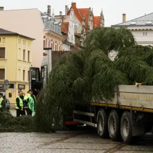Montaż choinki bożonarodzeniowej, 29.11.2024 r.