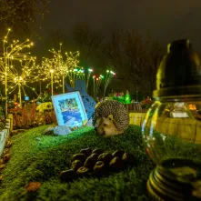 Tęczowy Las - cmentarz dla zwierząt