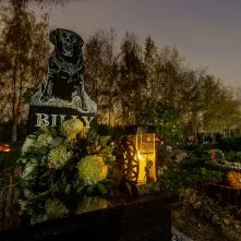 Tęczowy Las - cmentarz dla zwierząt