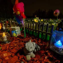 Tęczowy Las - cmentarz dla zwierząt