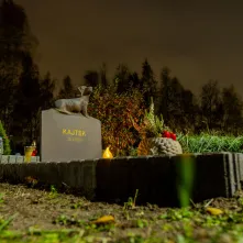 Tęczowy Las - cmentarz dla zwierząt