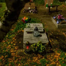 Tęczowy Las - cmentarz dla zwierząt