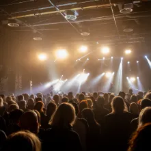 Koncert pamięci Grzegorza Ciechowskiego