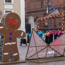 Kwiaty w 552. rocznicę urodzin Kopernika