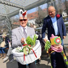 Wiosenny tramwaj