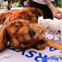 Niedzielna edukacja w Ogrodzie Zoobotanicznym