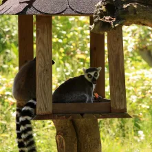 Niedzielna edukacja w Ogrodzie Zoobotanicznym