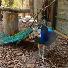 Niedzielna edukacja w Ogrodzie Zoobotanicznym