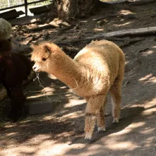 Niedzielna edukacja w Ogrodzie Zoobotanicznym