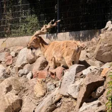 Niedzielna edukacja w Ogrodzie Zoobotanicznym