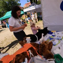 Niedzielna edukacja w Ogrodzie Zoobotanicznym