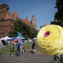 Śniadanie na trawie 