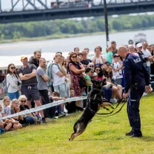 Festyn z okazji Święta Policji
