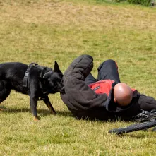 Festyn z okazji Święta Policji