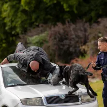 Festyn z okazji Święta Policji
