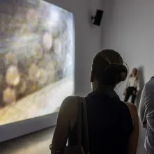 Wernisaż wystawy Bill Viola: Visions of Time / Wizje czasu, 24.07.2025 r.