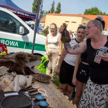 Święto Wojska Polskiego 2025 - Rodzinny Piknik Militarny