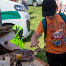 Święto Wojska Polskiego 2025 - Rodzinny Piknik Militarny