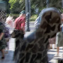 Dzień Solidarności z Osobami Chorującymi na Schizofrenię, 9.09.2025 r.