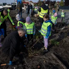 Zasadziliśmy mikrolas na lewobrzeżu