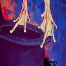 Zakończenie 33. EnergaCAMERIMAGE 2025 w Toruniu