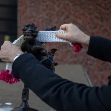 Anielska harmonia przed Jordankami, 19.12.2025