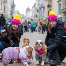 Toruń gra dziś z WOŚP - tradycyjna „Ściskawa” i wizyta w sztabach