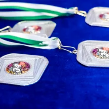 Toruń wiosłuje z WOŚP!