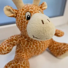 W Toruniu powstaje Centrum Wspierania Rodzin, 29.01.2026