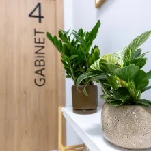 W Toruniu powstaje Centrum Wspierania Rodzin, 29.01.2026