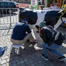 Bieg śniadaniowy z Adamem Kszczotem