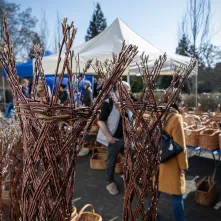 Kiermasz Wielkanocny w Muzeum Etnograficznym w Toruniu