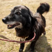 Święconka w kasku – wielkanocna tradycja na dwóch kołach