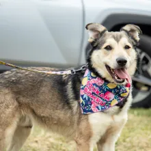 Święconka w kasku – wielkanocna tradycja na dwóch kołach