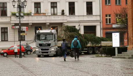 Montaż choinki bożonarodzeniowej, 29.11.2024 r.