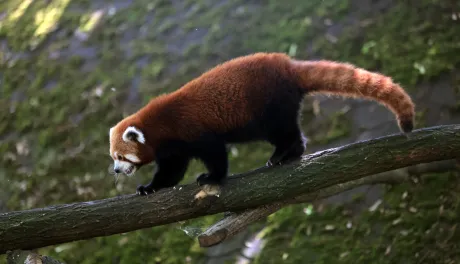 Niedzielna edukacja w Ogrodzie Zoobotanicznym
