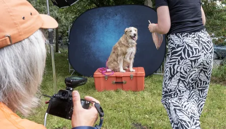Piknik Przyjaciół Schroniska