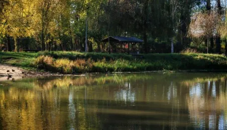 Jesień w Parku Miejskim na Bydgoskim Przedmieściu