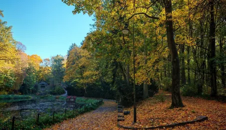 Jesień w Parku Miejskim na Bydgoskim Przedmieściu
